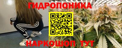 мет Дмитров