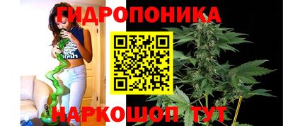 мет Дмитров