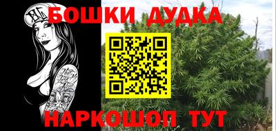 гидропоника Гудермес