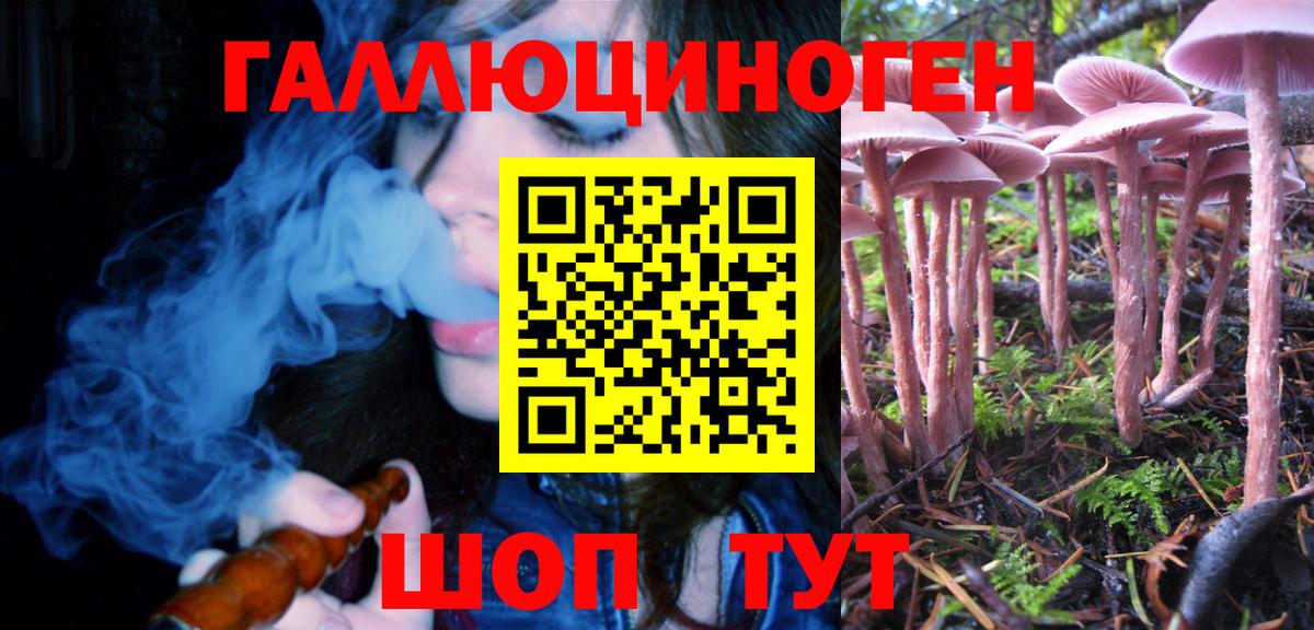 Дзержинский  Галлюциногенные грибы Magic Shrooms  Галлюциногенные грибы Psilocybine cubensis  Вход с VPN 