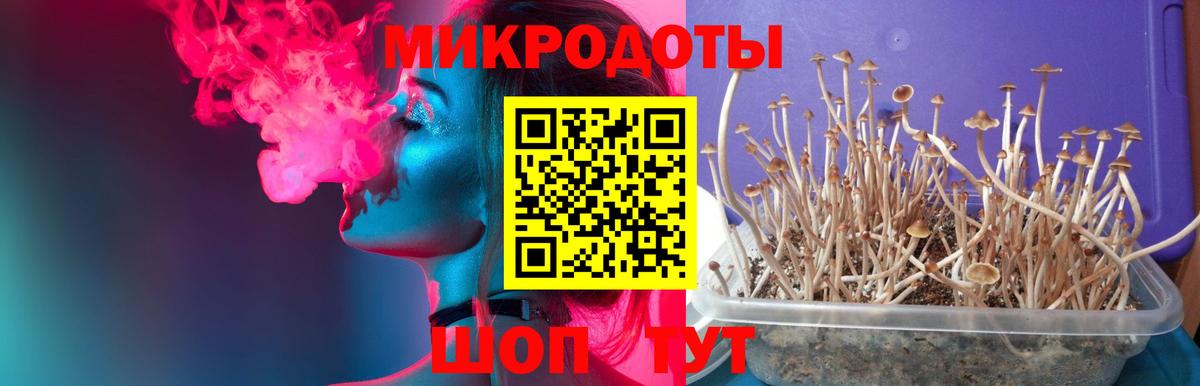 Кокаин  Дзержинский  Мефедрон   Вход с VPN  Экстази  Гашиш  Каннабис 